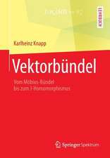 Vektorbündel: Vom Möbius-Bündel bis zum J-Homomorphismus