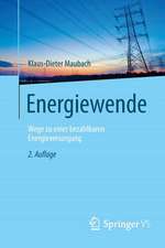 Energiewende: Wege zu einer bezahlbaren Energieversorgung