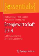 Energiewirtschaft 2014: Fakten und Chancen der Tiefen Geothermie