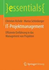 IT-Projektmanagement: Effiziente Einführung in das Management von Projekten