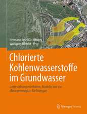 Chlorierte Kohlenwasserstoffe im Grundwasser: Untersuchungsmethoden, Modelle und ein Managementplan für Stuttgart