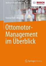 Ottomotor-Management im Überblick