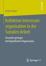 Kollektive Interessenorganisation in der Sozialen Arbeit: Ursachen geringer berufspolitischer Organisation