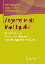 Angestellte als Machtquelle: Neue Initiativen der Interessenvertretung von Industrieangestellten im Betrieb