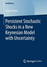 Persistent Stochastic Shocks in a New Keynesian Model with Uncertainty