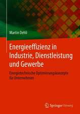 Energieeffizienz in Industrie, Dienstleistung und Gewerbe: Energietechnische Optimierungskonzepte für Unternehmen