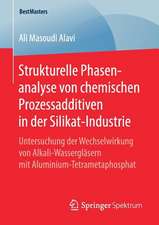 Strukturelle Phasenanalyse von chemischen Prozessadditiven in der Silikat-Industrie: Untersuchung der Wechselwirkung von Alkali-Wassergläsern mit Aluminium-Tetrametaphosphat