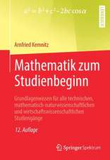 Mathematik zum Studienbeginn: Grundlagenwissen für alle technischen, mathematisch-naturwissenschaftlichen und wirtschaftswissenschaftlichen Studiengänge