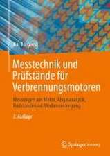 Messtechnik und Prüfstände für Verbrennungsmotoren: Messungen am Motor, Abgasanalytik, Prüfstände und Medienversorgung