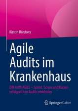 Agile Audits im Krankenhaus: DIN trifft AGILE - Sprint, Scrum und Kaizen erfolgreich in Audits einbinden