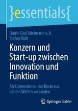 Konzern und Start-up zwischen Innovation und Funktion: Als Unternehmer das Beste aus beiden Welten verbinden