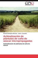 Aclimatizacion de Plantulas de Cana de Azucar Micropropagadas: El USO de Indicadores