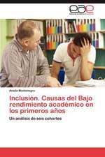 Inclusion. Causas del Bajo Rendimiento Academico En Los Primeros Anos