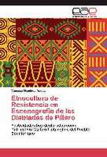 Etnocultura de Resistencia En Escenografia de Las Diabladas de Pillaro