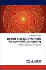 Robust algebraic methods for geometric computing