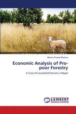 Economic Analysis of Pro-poor Forestry