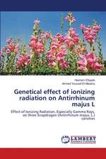 Genetical effect of ionizing radiation on Antirrhinum majus L