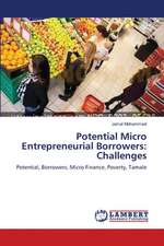 Potential Micro Entrepreneurial Borrowers: Challenges