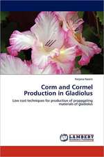 Corm and Cormel Production in Gladiolus