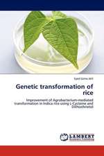 Genetic transformation of rice