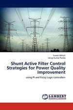 Shunt Active Filter Control Strategies for Power Quality Improvement