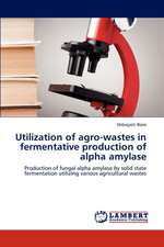 Utilization of agro-wastes in fermentative production of alpha amylase