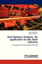 Real Options Analysis. An application to the Steel Industry