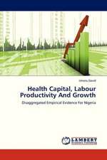 Health Capital, Labour Productivity And Growth