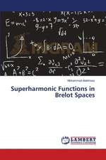 Superharmonic Functions in Brelot Spaces