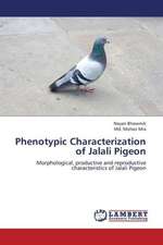 Phenotypic Characterization of Jalali Pigeon