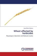 Wheat affected by herbicides