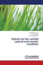 Hybrid rice for rainfed upland and aerobic condition