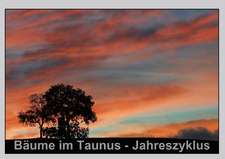 Bäume im Taunus - Jahreszyklus (Tischaufsteller DIN A5 quer)