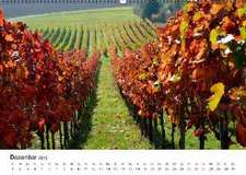 Württemberger Wein 2015 (Wandkalender 2015 DIN A2 quer)