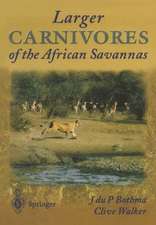 Larger Carnivores of the African Savannas