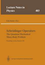 Schrödinger Operators The Quantum Mechanical Many-Body Problem: Proceedings of a Workshop Held at Aarhus, Denmark 15 May - 1 August 1991