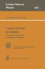 Central Activity in Galaxies: From Observational Data to Astrophysical Diagnostics