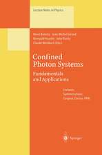 Confined Photon Systems: Fundamentals and Applications