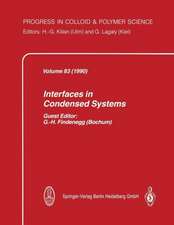 Interfaces in Condensed Systems