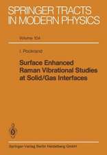 Surface Enhanced Raman Vibrational Studies at Solid Gas Interfaces