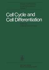 Cell Cycle and Cell Differentiation