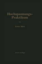 Hochspannungs-Praktikum