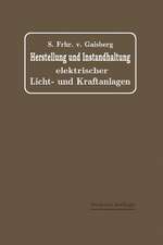 Herstellung und Instandhaltung Elektrischer Licht- und Kraftanlagen: Ein Leitfaden auch für Nicht-Techniker