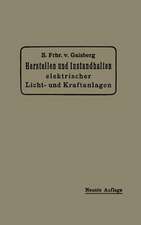 Herstellen und Instandhalten Elektrischer Licht- und Kraftanlagen: Ein Leitfaden auch für Nicht-Techniker