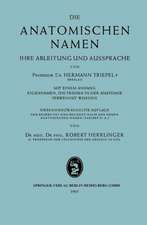 Die anatomischen Namen: Ihre Ableitung und Aussprache