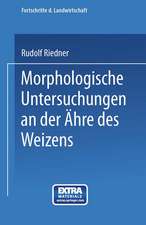 Morphologische Untersuchungen an der Ähre des Weizens: Beitrag zur Sortenkenntnis