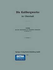 Die Kalibergwerke im Oberelsaß: Auszug aus dem Jahresbericht der Industriellen Gesellschaft von Mülhausen i. E.