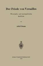 Der Friede von Versailles: Wirtschafts- und sozialpolitische Ausblicke