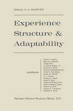 Experience Structure & Adaptability