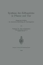 Synthese der Zellbausteine in Pflanze und Tier: Lösung des Problems der künstlichen Darstellung der Nahrungsstoffe